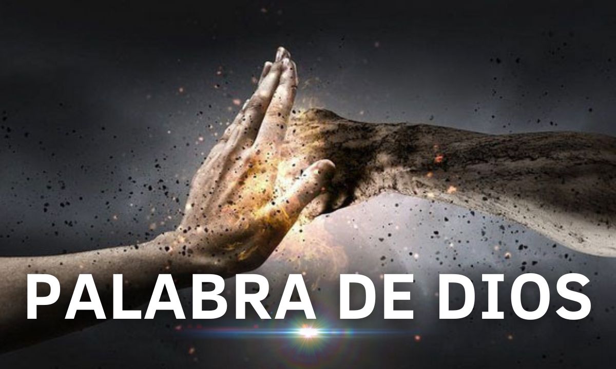 PALABRA DE DIOS - ENOJO, AGRESIVIDAD & VIOLENCIA